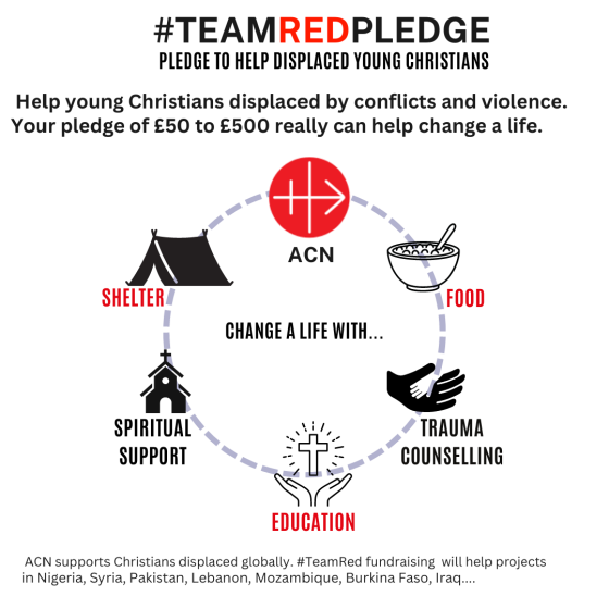 ACN TeamRed pledge infographic