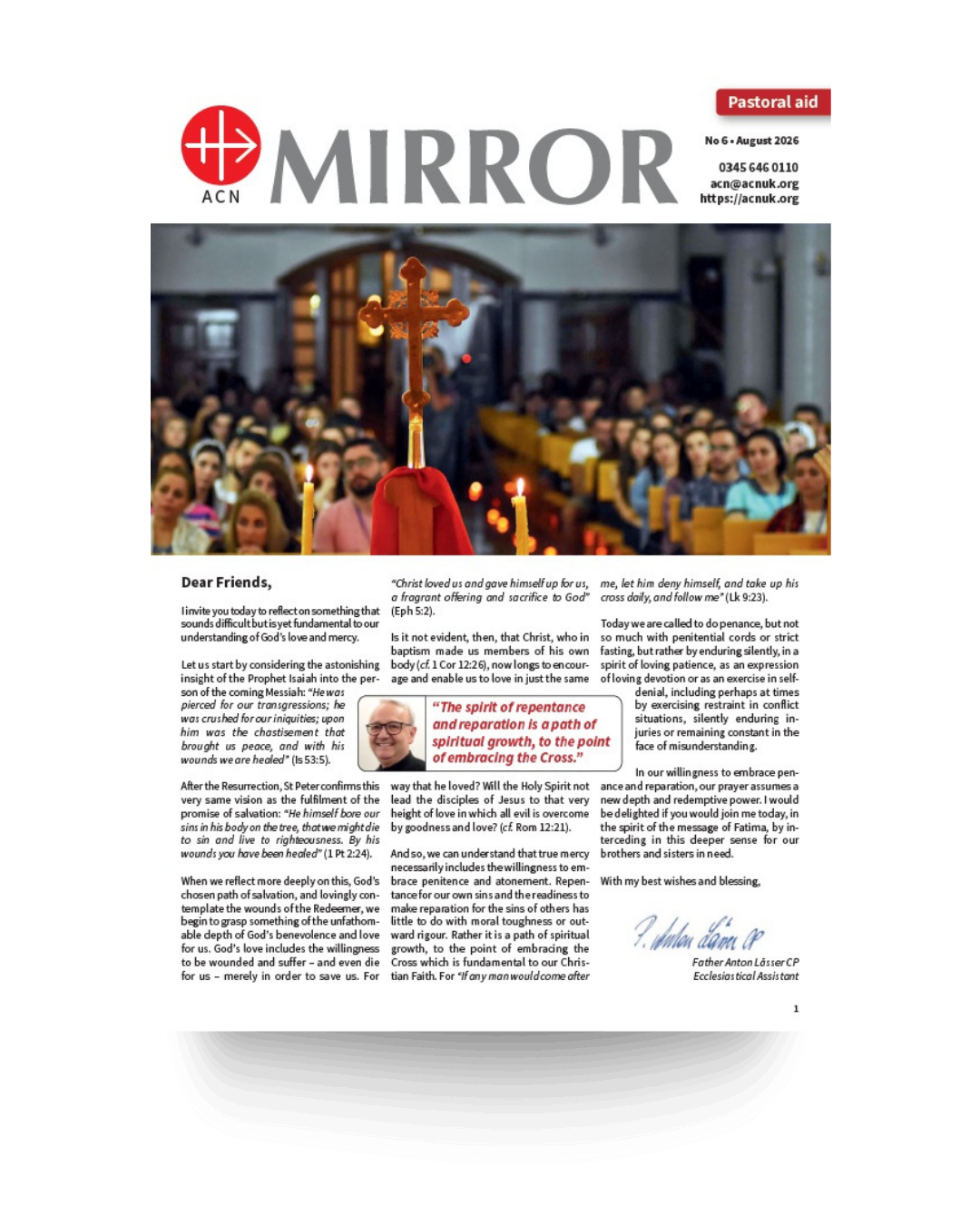 The ACN Mirror Cover