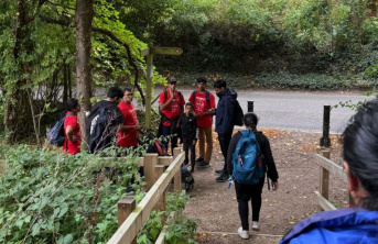 Family walking in a forest during fundraising activity