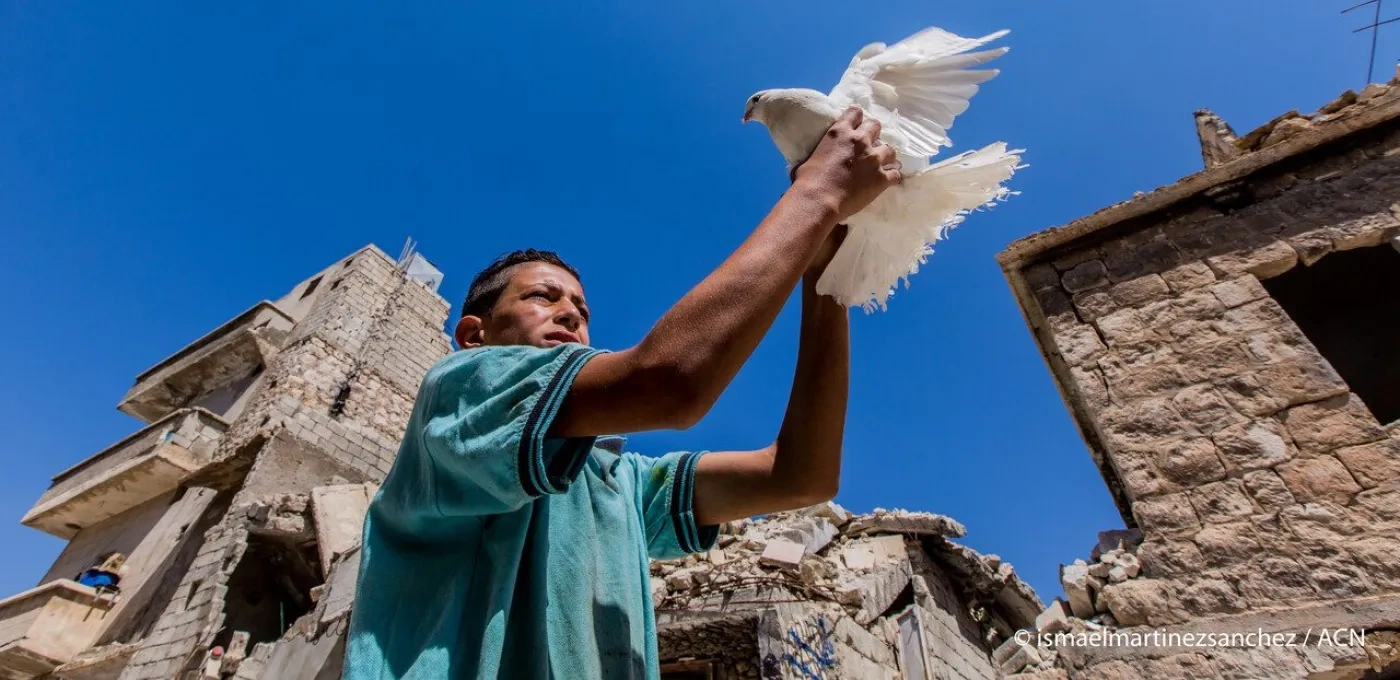 Syrian boy holding a dove