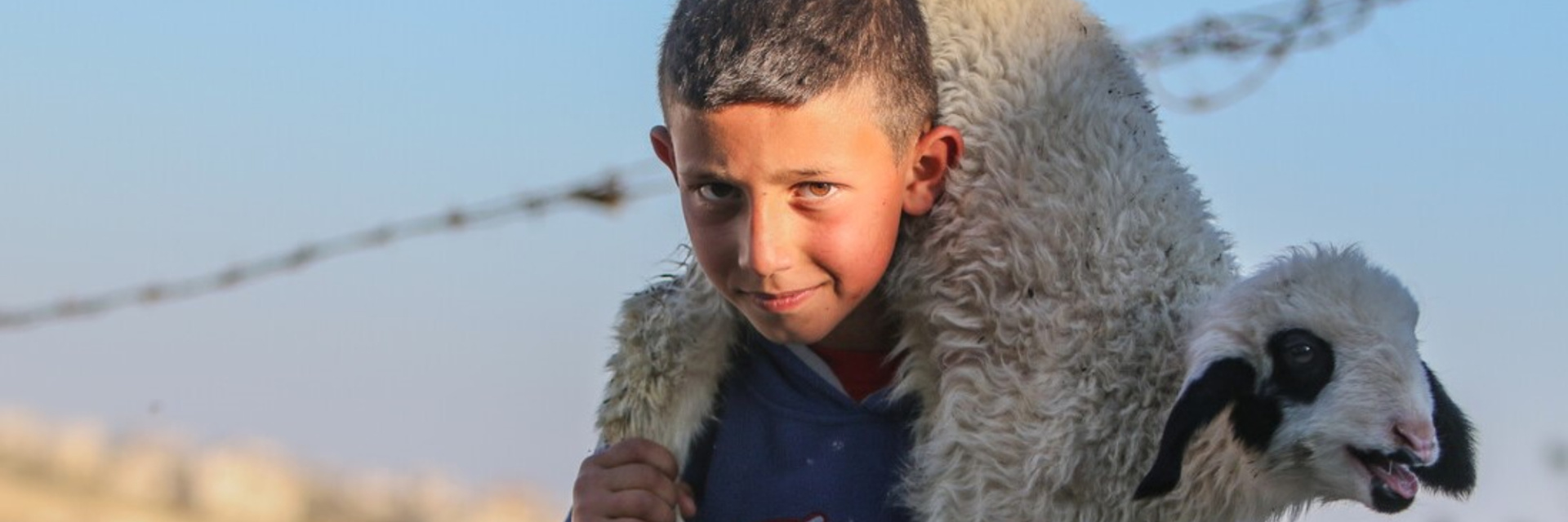 A Palestinian boy carrying a lamb near Bethlehem 