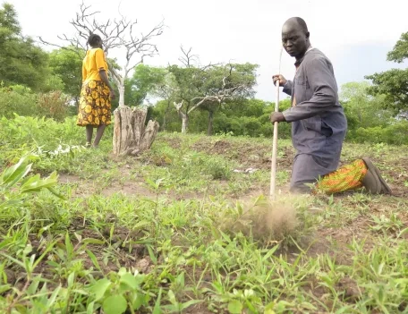 Catechist Peter Jurwel helping farm in South Sudan