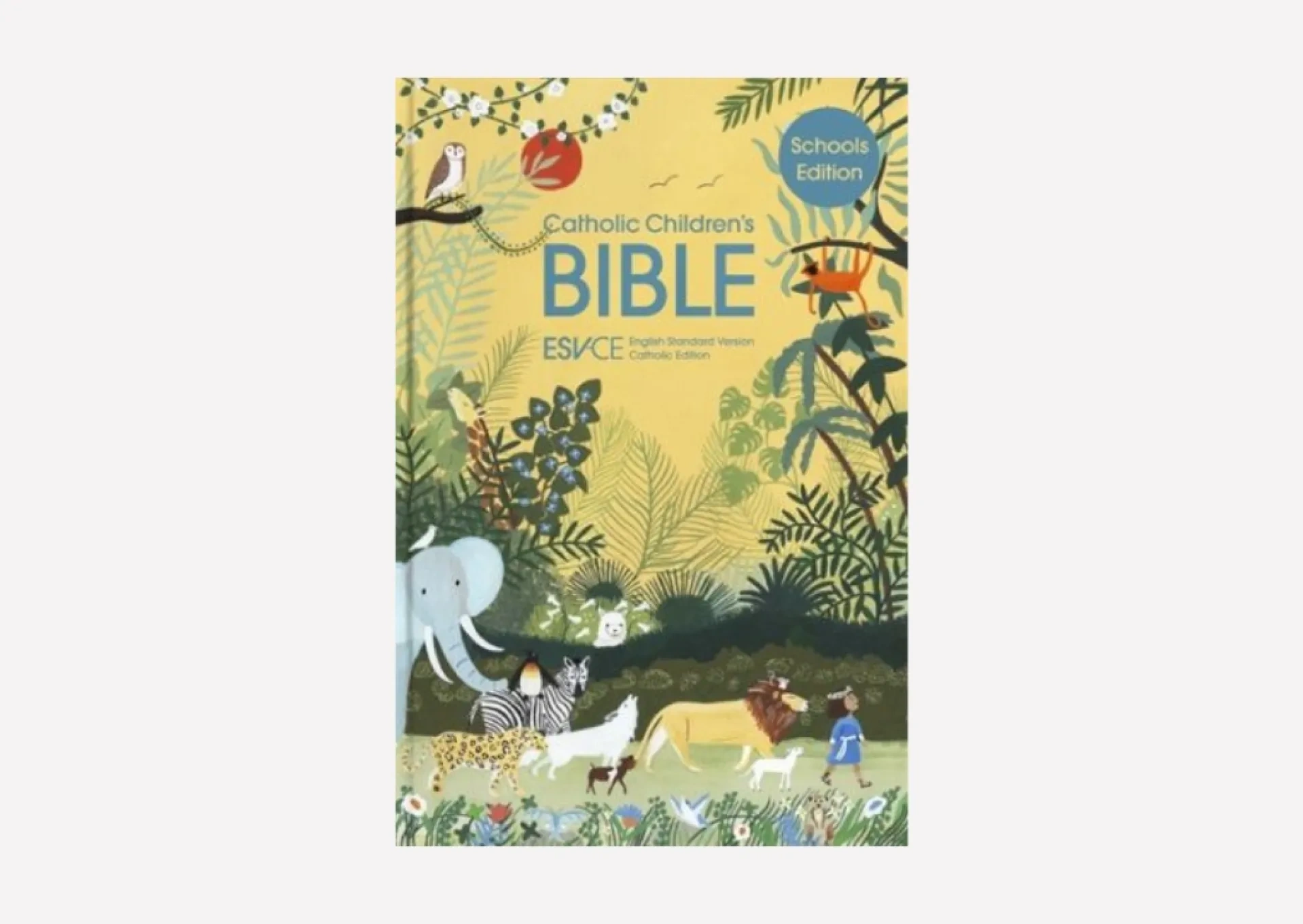 Catholic Children's Bible - School Edition