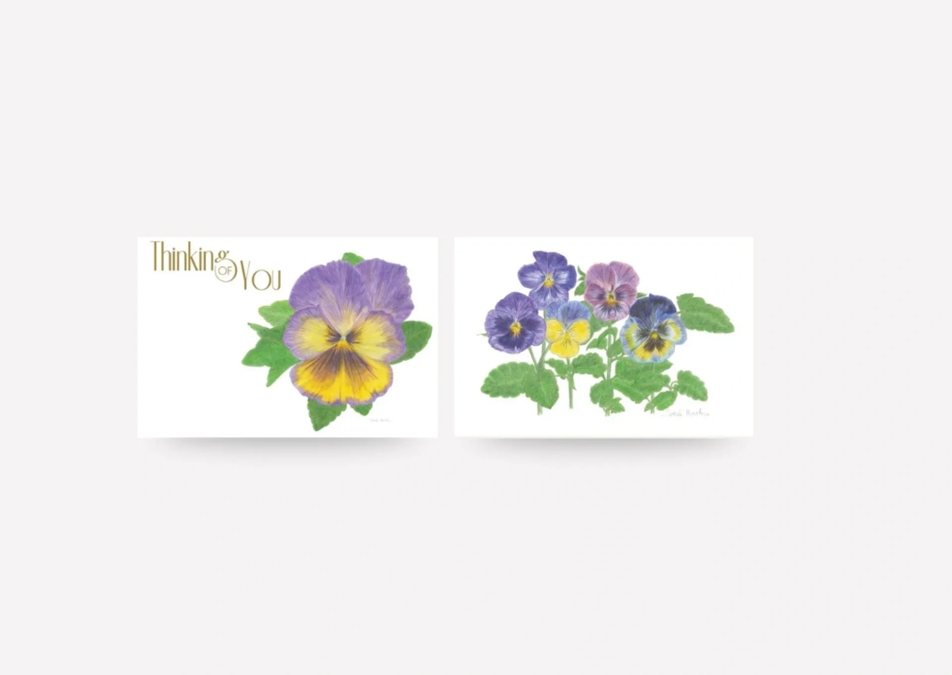 Greeting Cards - Twin Pack