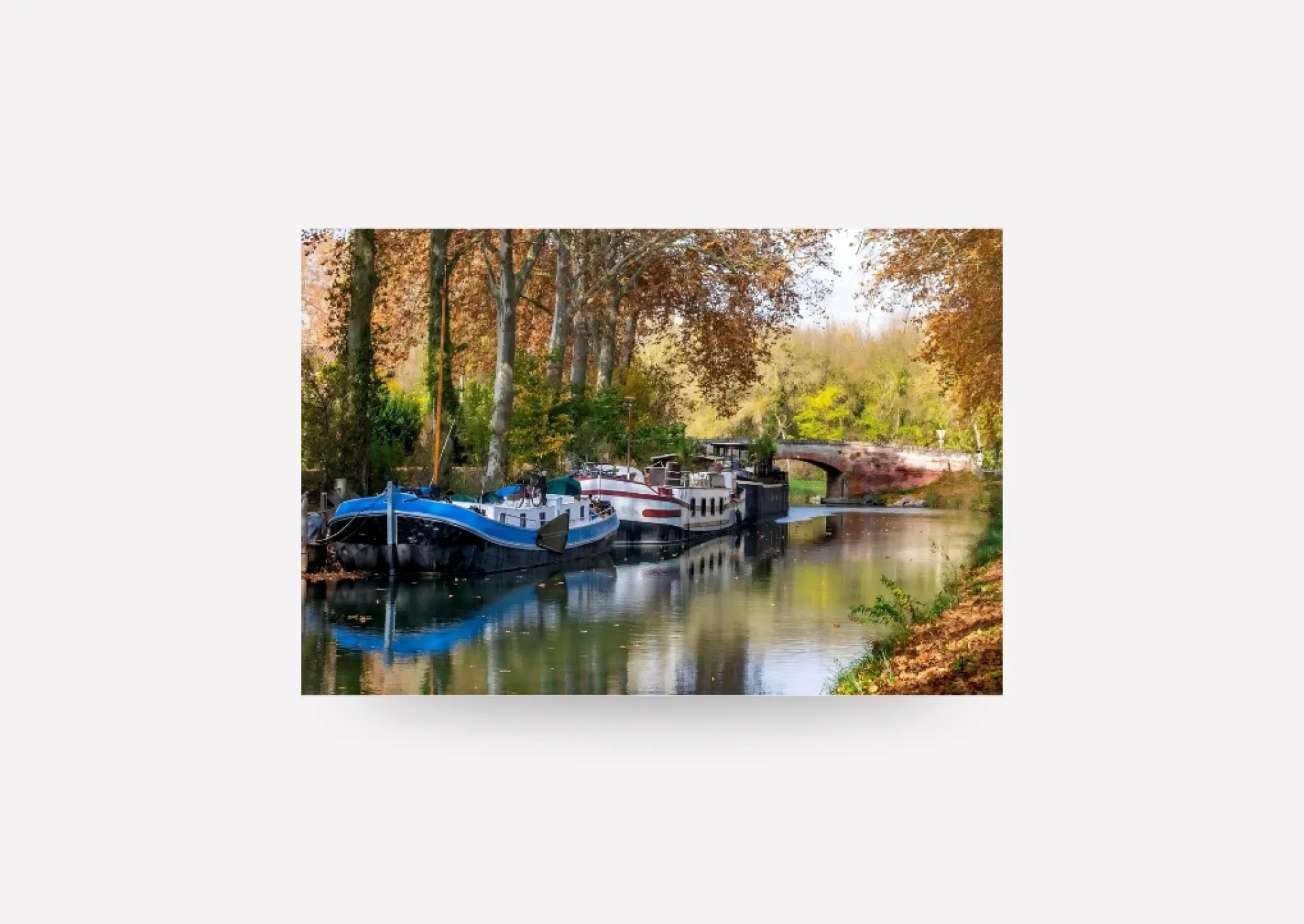 Summer Walk Birthday Card