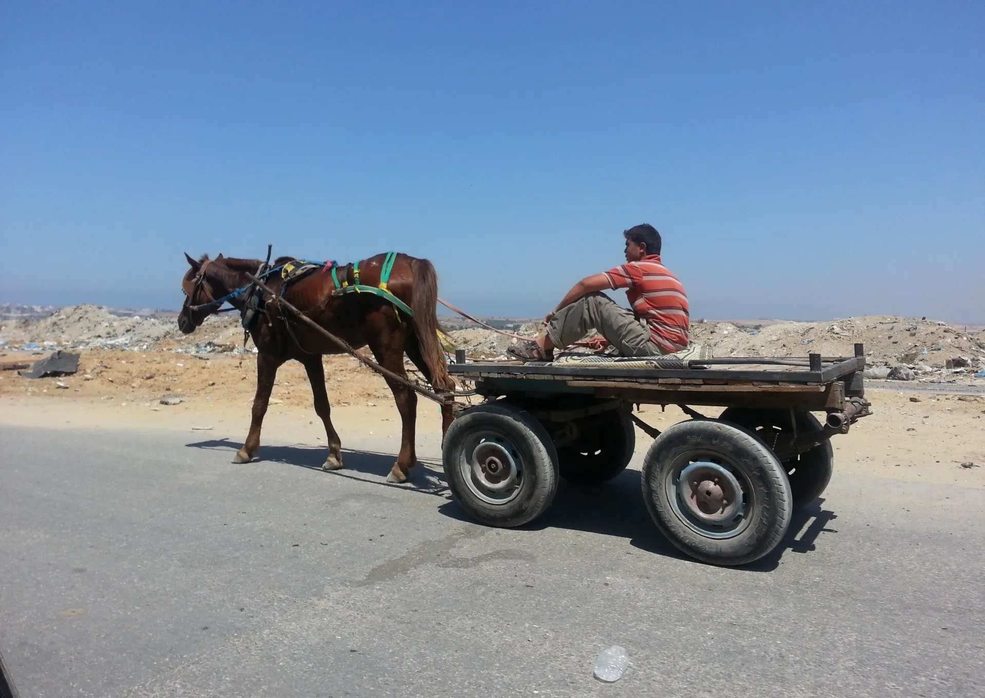Man riding a horse and cart