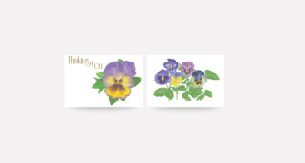 Greeting Cards - Twin Pack