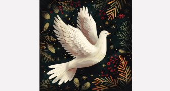 Dove of Peace Christmas Card