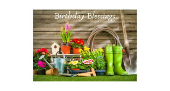 Spring Garden Birthday Card