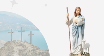 category teaser for shop