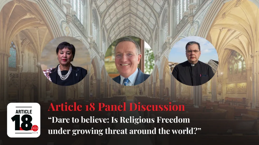 Article 18 Panel event ACN