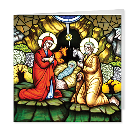 Nativity Window Drohovych Seminary
